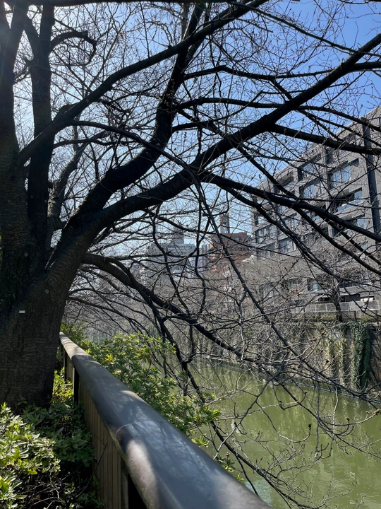 Meguro River