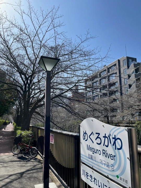 Meguro River