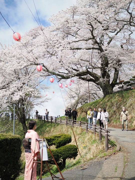 Miharu Takizakura