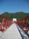 Mino Bridge