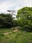 Mitsuike Park