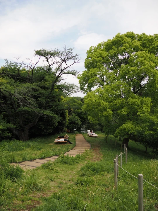 Mitsuike Park
