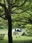 Mitsuike Park