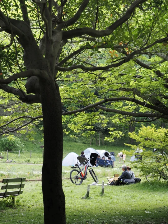 Mitsuike Park