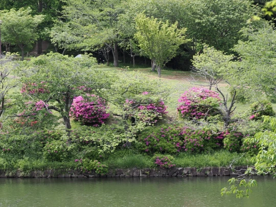 Mitsuike Park