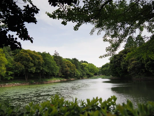 Mitsuike Park