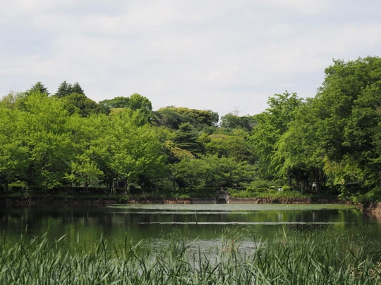 Mitsuike Park