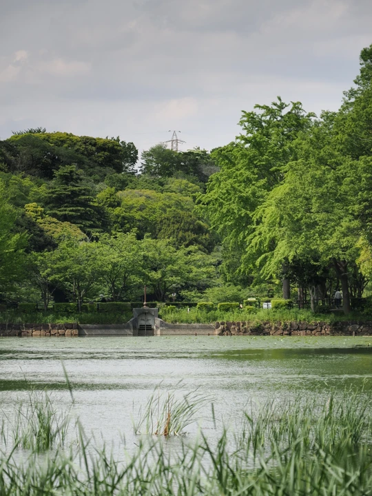 Mitsuike Park