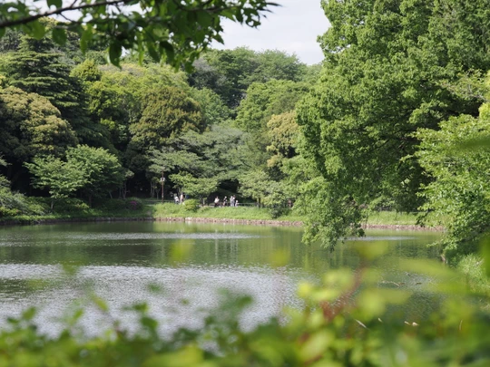 Mitsuike Park