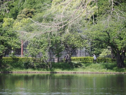 Mitsuike Park