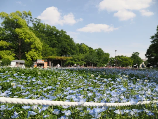 Mitsuike Park