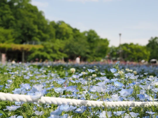 Mitsuike Park