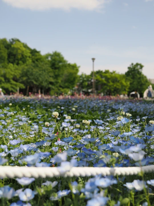 Mitsuike Park
