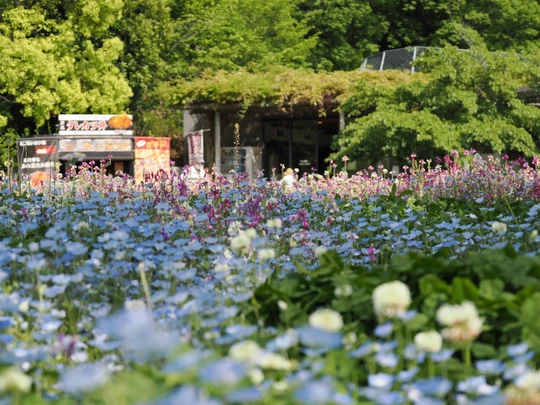 Mitsuike Park