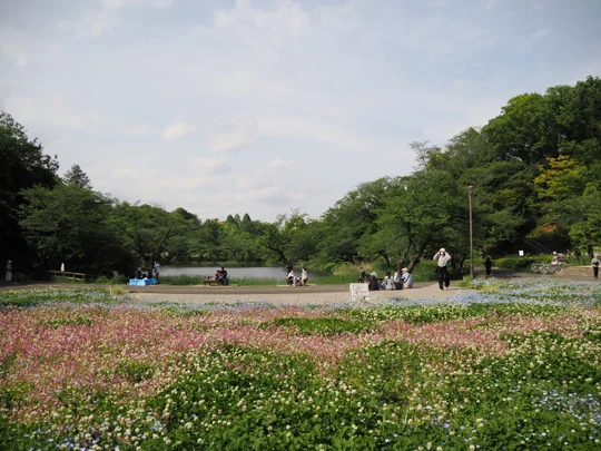 Mitsuike Park