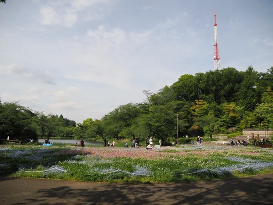 Mitsuike Park
