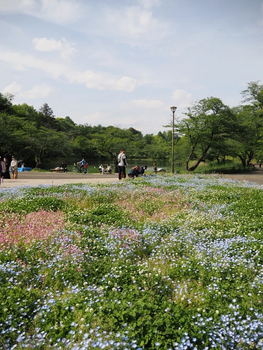 Mitsuike Park