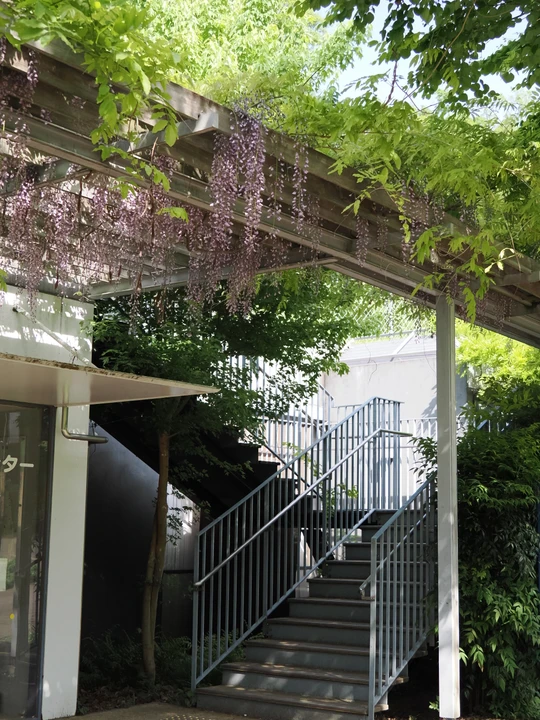 Mitsuike Park
