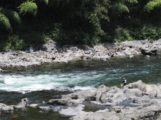 Nagara River