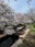 Nikaryo Waterway
