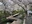 Nikaryo Waterway