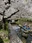 Nikaryo Waterway