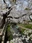 Nikaryo Waterway