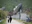 Nobeyama Radio Observatory