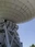 Nobeyama Radio Observatory