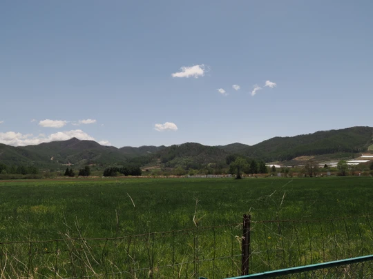 Nobeyama Radio Observatory