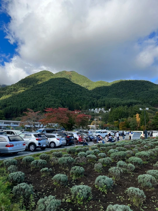 Oishi Park