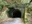 Old Amagi Tunnel