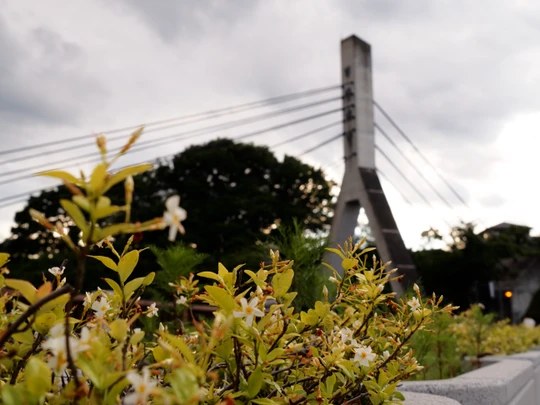 Old Chichibu Bridge
