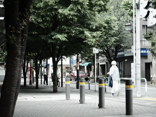 Seijogakuen-mae station