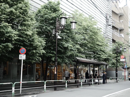 Seijogakuen-mae station