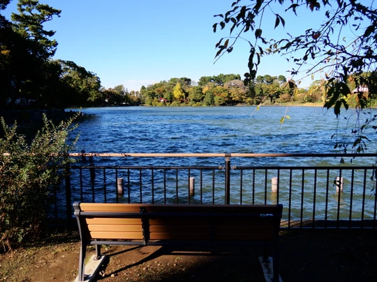 Senzokuike Park