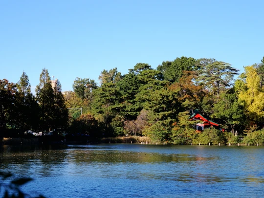 Senzokuike Park