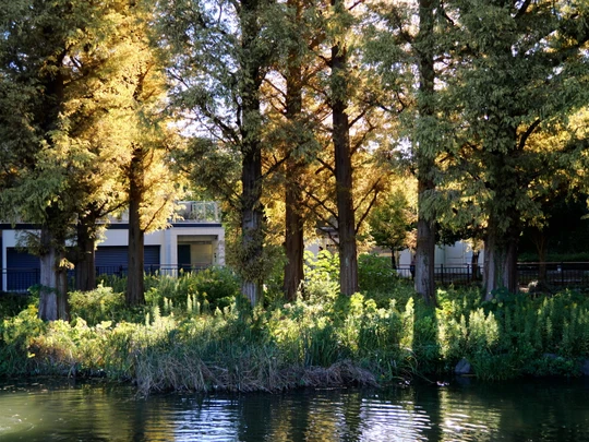 Senzokuike Park