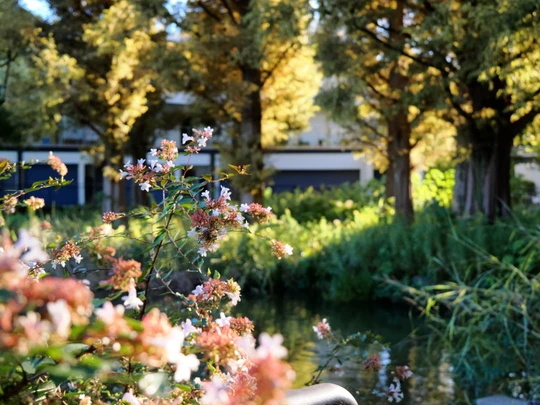 Senzokuike Park