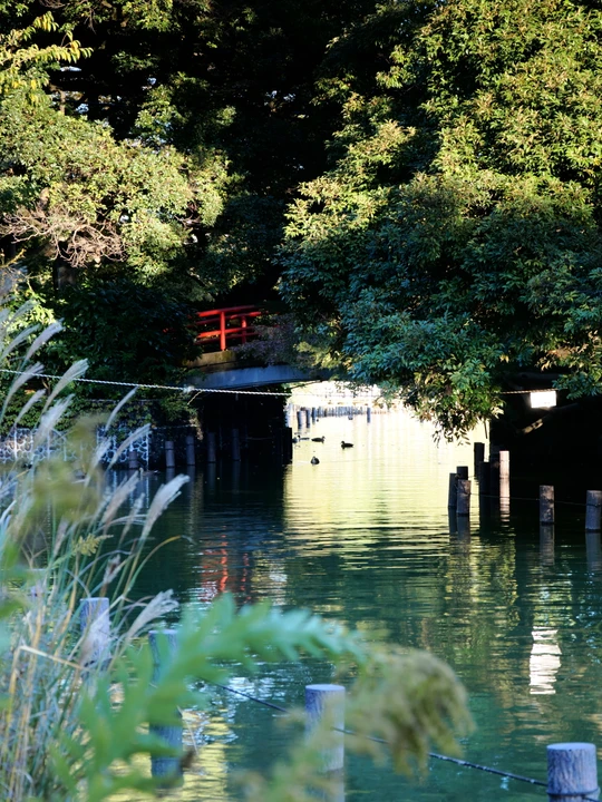 Senzokuike Park