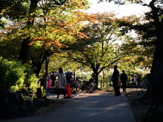 Senzokuike Park