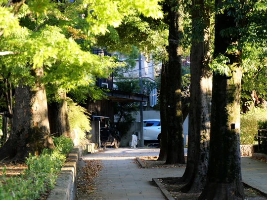 Senzokuike Park