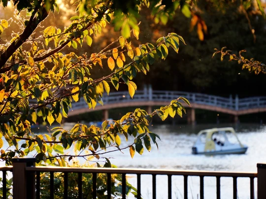 Senzokuike Park