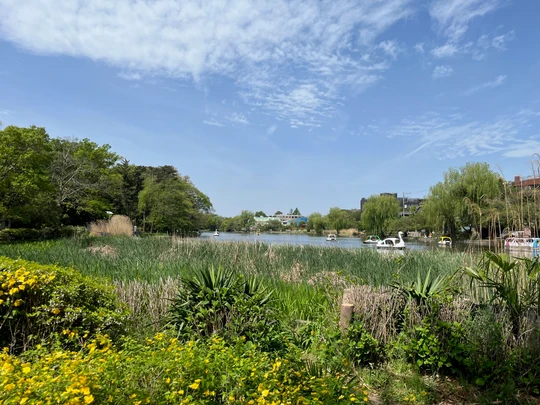 Shakujii Park