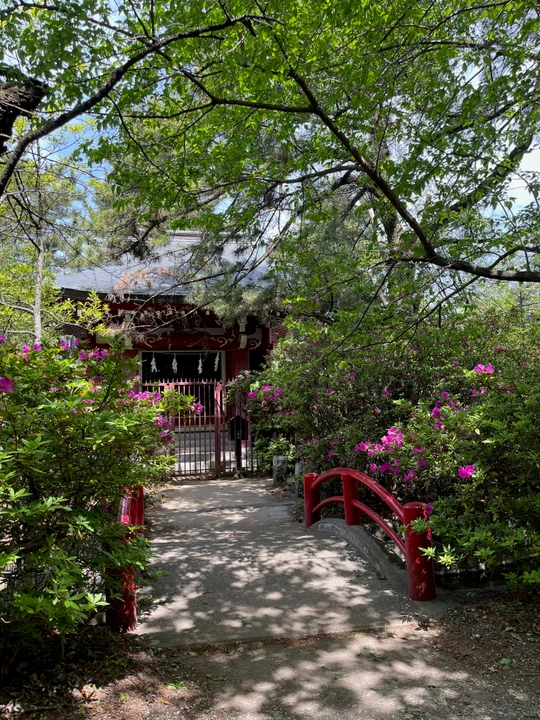 Shakujii Park