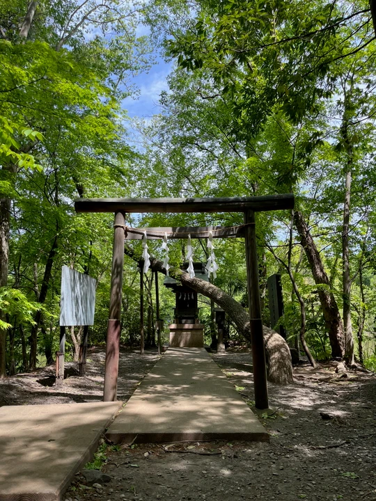 Shakujii Park
