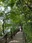 Shakujii Park