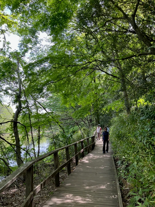 Shakujii Park
