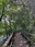 Shakujii Park
