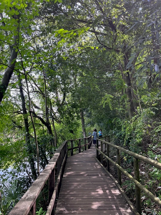 Shakujii Park